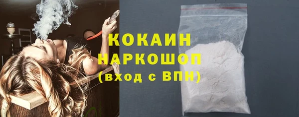 индика Семилуки